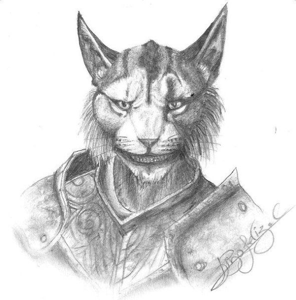 Каджит Карджо