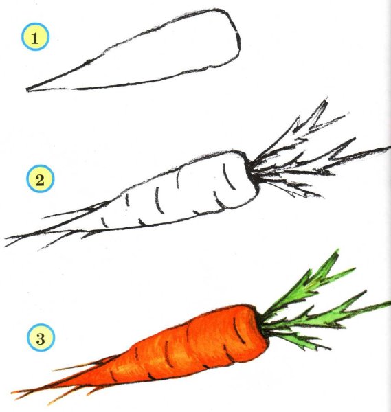 Морковь раскраска для детей