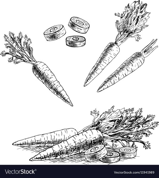 Морковь карандашом