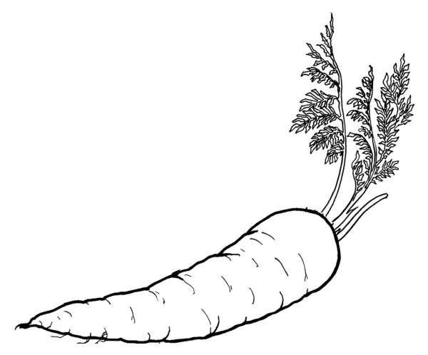 Поэтапное рисование овощей