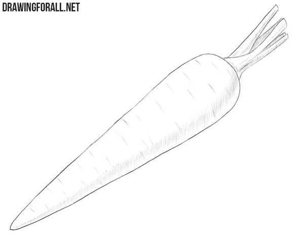 Морковка раскраска для малышей