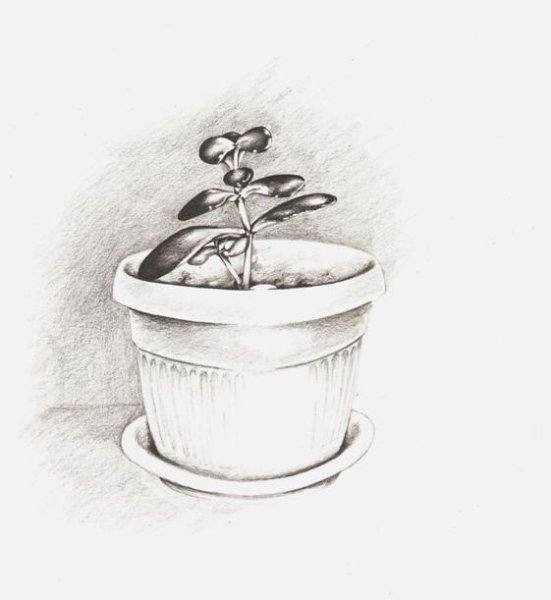 Вазоны карандашом