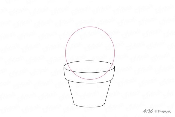 Поэтапное рисование комнатных растений