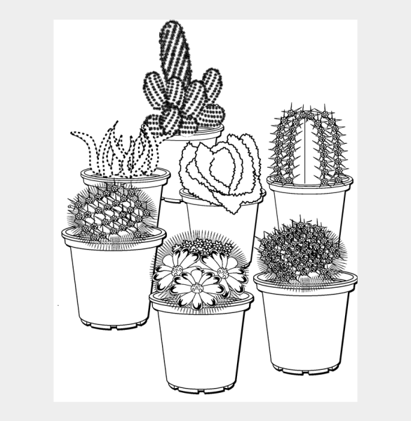 Раскраска комнатные растения в горшках