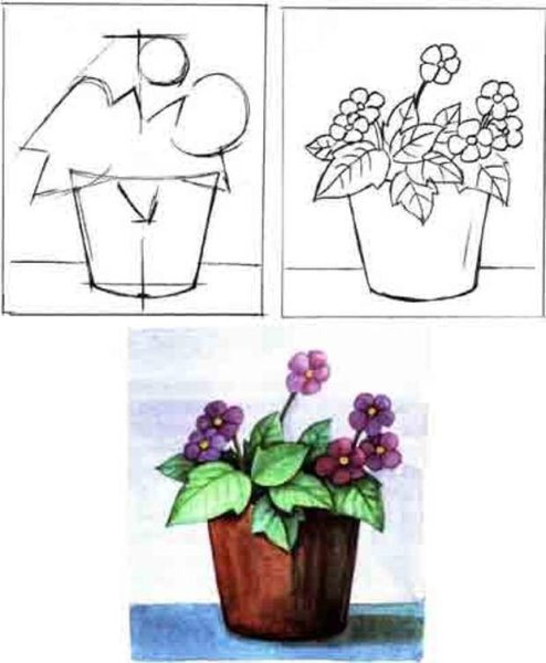 Поэтапное рисование комнатного цветка в горшке