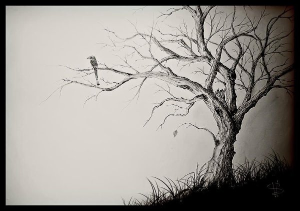 Зарисовки крупных камней