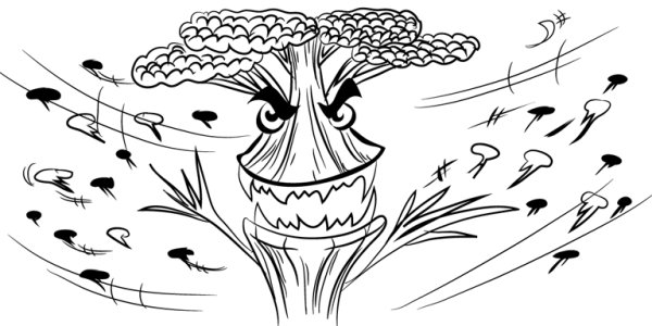 Борщевик Сосновского листья соцветия