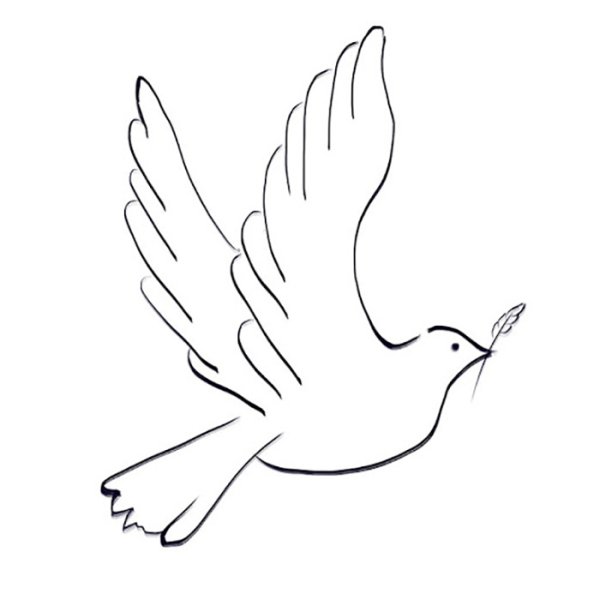 Рисование голубя поэтапно