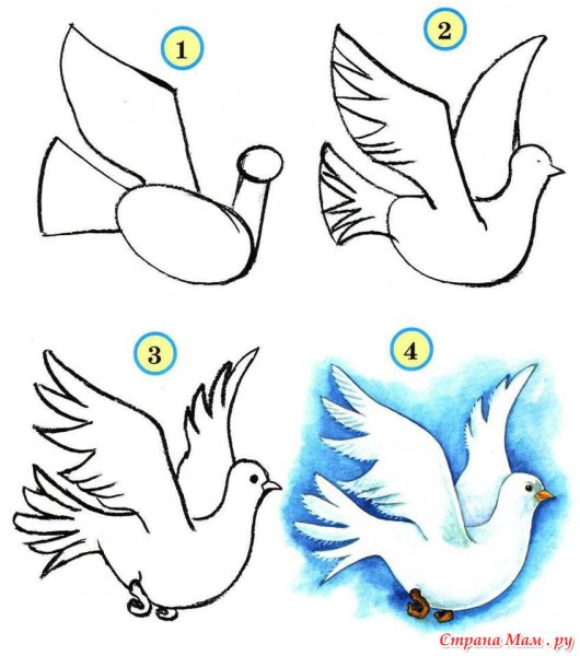 Поэтапное рисование голубя