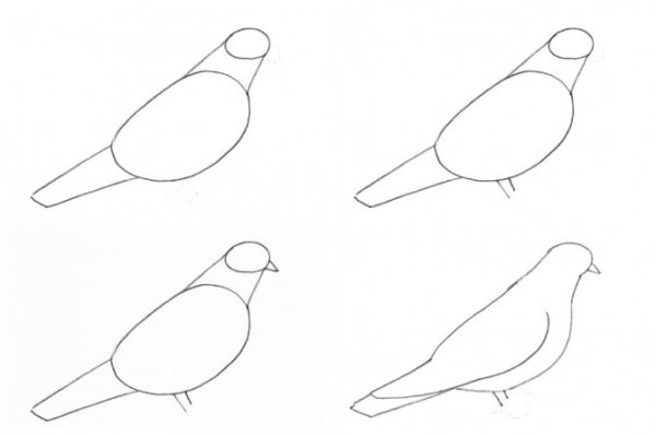 Голубь раскраска для детей 3-4 лет