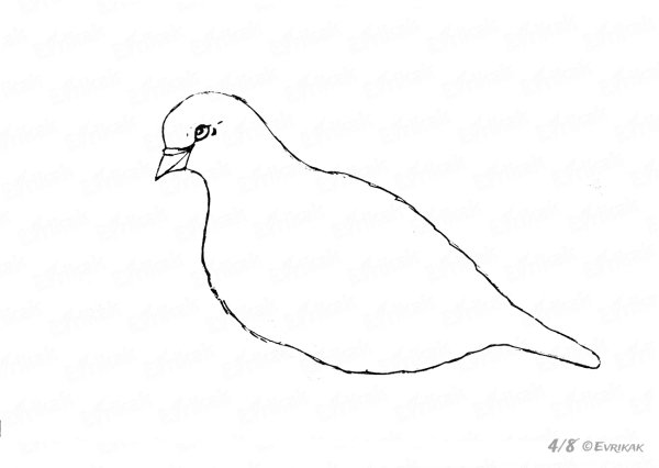 Голубь раскраска