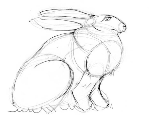 Эскиз черный дракон карандашом для срисовки