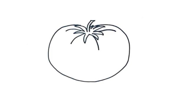 Томаты гравюра