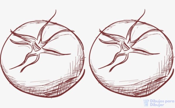 Рисунки для срисовки помидор