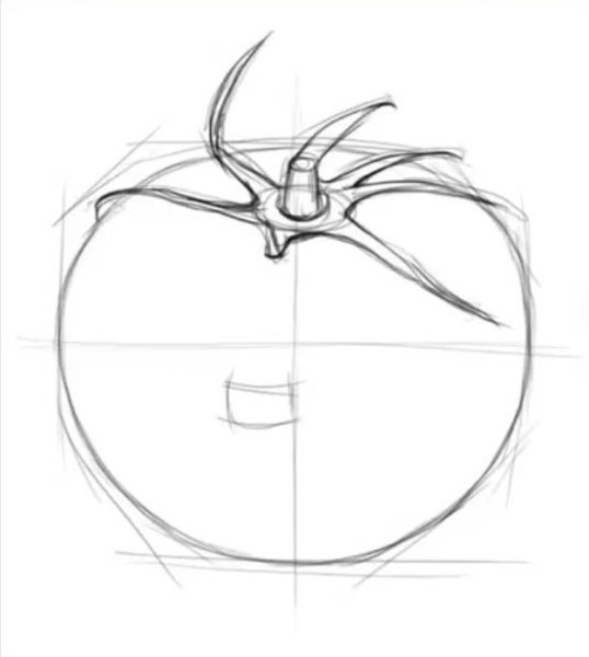 Нарисовать помидор поэтапно