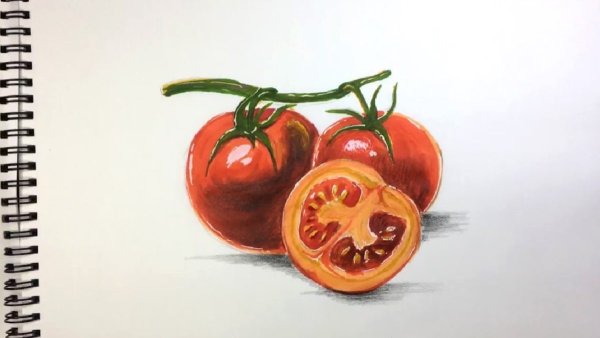 Овощи рисунок помидор