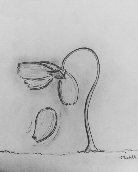 Анимационные рисунки карандашом