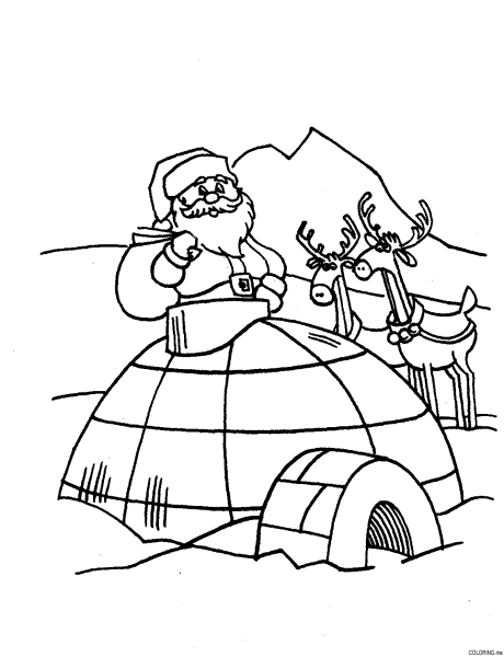 Иглу и юрта