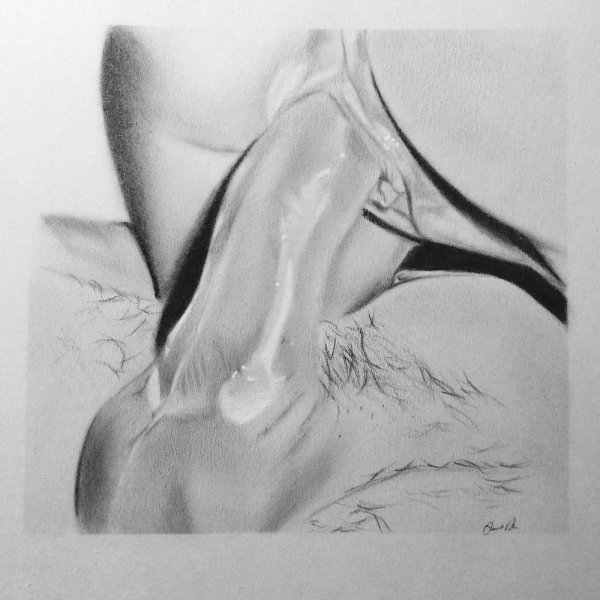 Зарисовка кунилингуса в карандаше