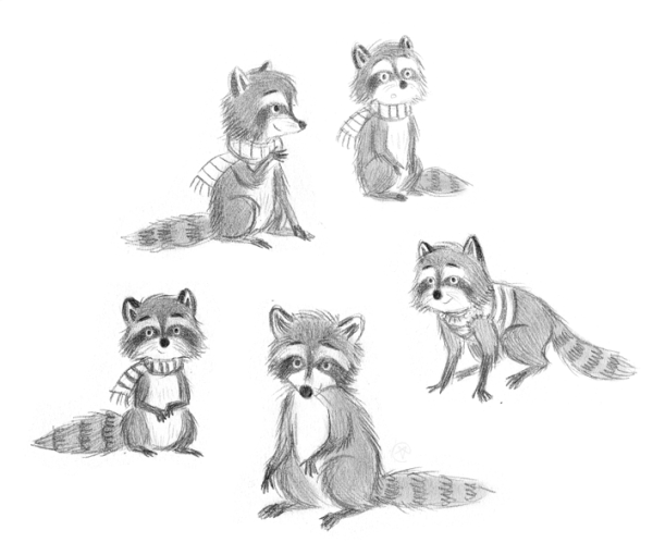 Енот референс сбоку