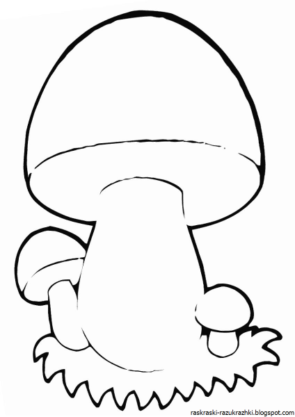 Гриб Боровик раскраска