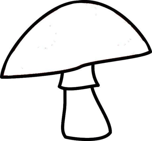 Белый гриб Боровик раскраска