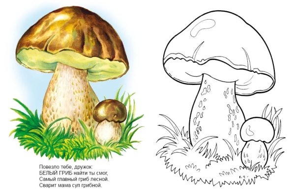 Трафареты грибов
