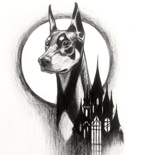 Лайнарт Доберман