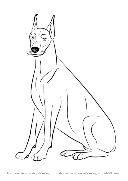 Эскиз собаки