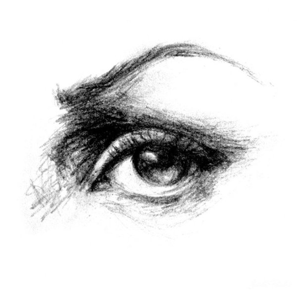 Глаза с разных ракурсов карандашом
