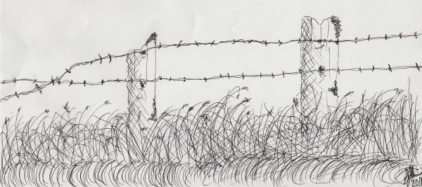 Колючая проволока для рисования