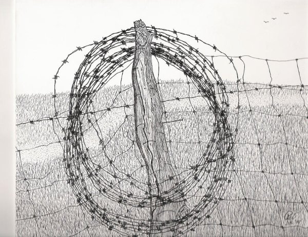 Колючая проволока