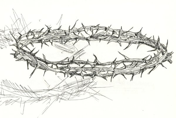 Проволока с шипами