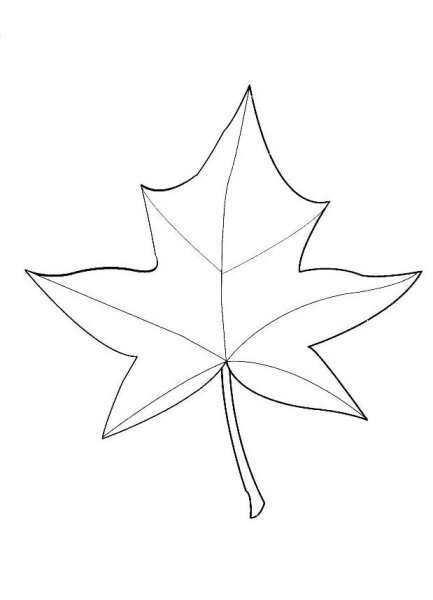Листья раскраска