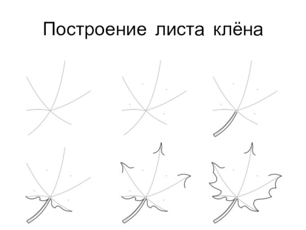 Как нарисовать кленовый лист карандашом