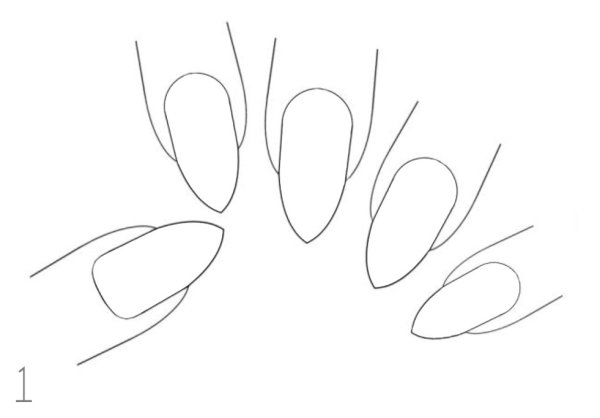 Ногти шаблон для рисования