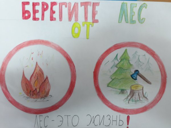 Берегите лес от пожара рисунки
