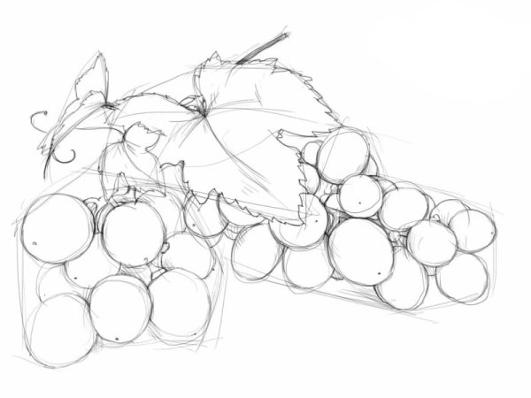 Рисуем виноград поэтапно