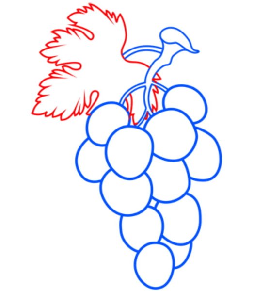 Виноград чб