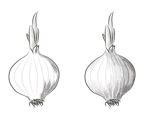 Лук рисунок для детей