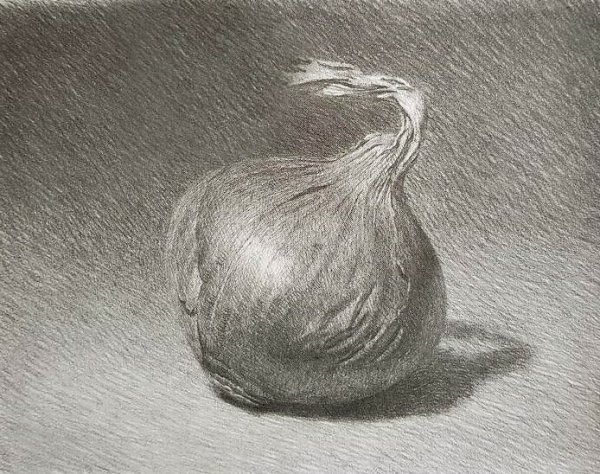 Луковица карандашом