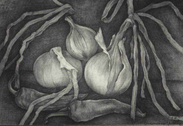 Чеснок карандашом