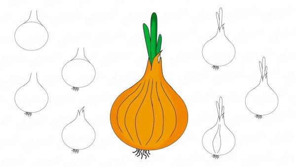 Лук рисунок