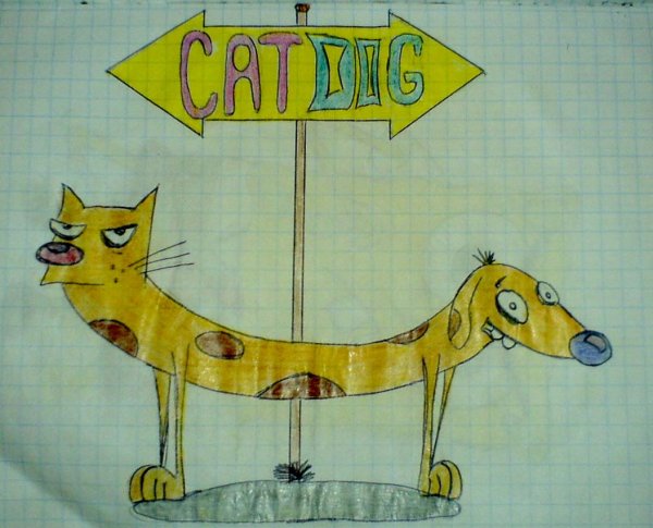 Котопес рисунок