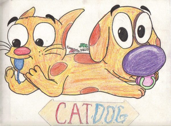 Котопес аниме