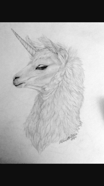 Лама для срисовки карандашом