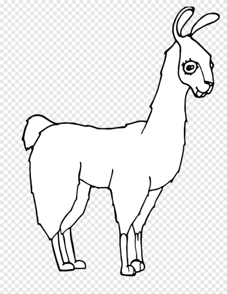 Раскраска лам животных