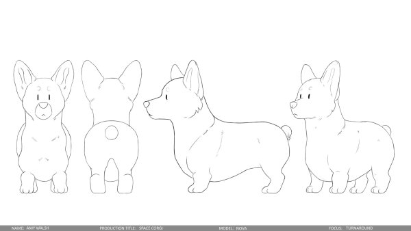 Вельш корги пемброк раскраска