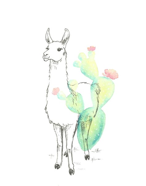 Лама карандашом