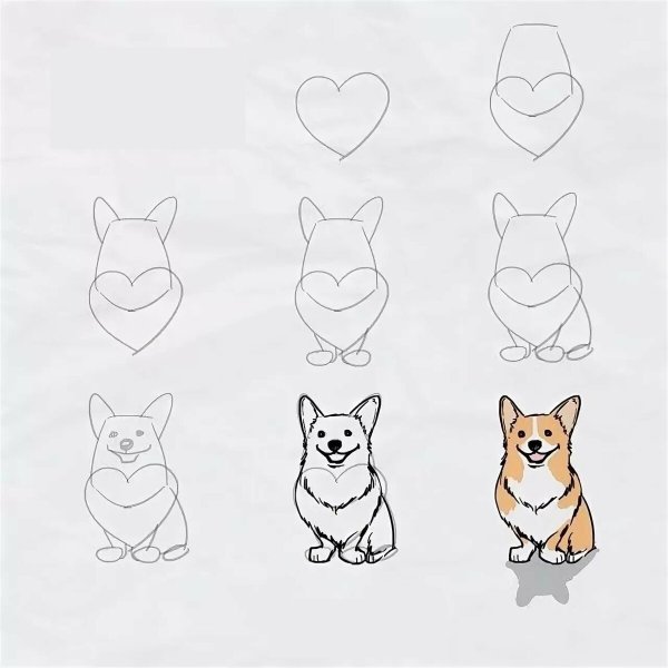 Корги для срисовки легкие